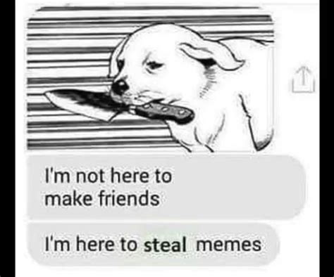 steal your meme|stealing i like meme.